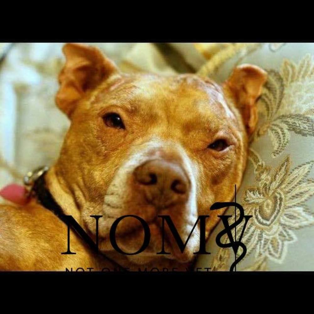 Meet your Posher, Dee